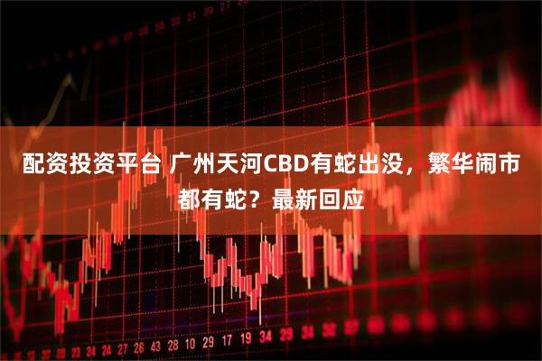配资投资平台 广州天河CBD有蛇出没，繁华闹市都有蛇？最新回应