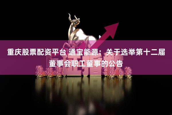 重庆股票配资平台 通宝能源：关于选举第十二届董事会职工董事的公告