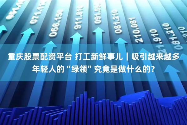 重庆股票配资平台 打工新鲜事儿｜吸引越来越多年轻人的“绿领”究竟是做什么的？