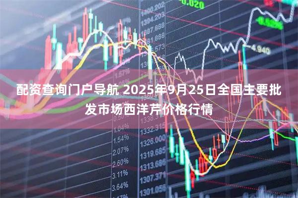 配资查询门户导航 2025年9月25日全国主要批发市场西洋芹价格行情