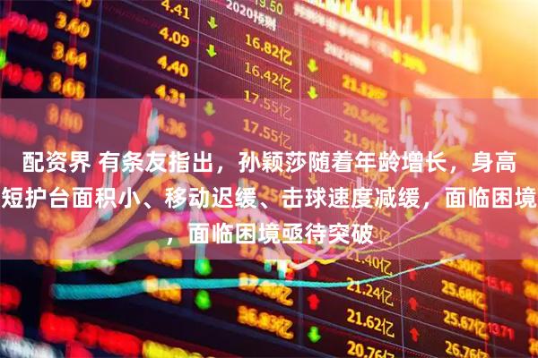 配资界 有条友指出，孙颖莎随着年龄增长，身高不足、臂短护台面积小、移动迟缓、击球速度减缓，面临困境亟待突破